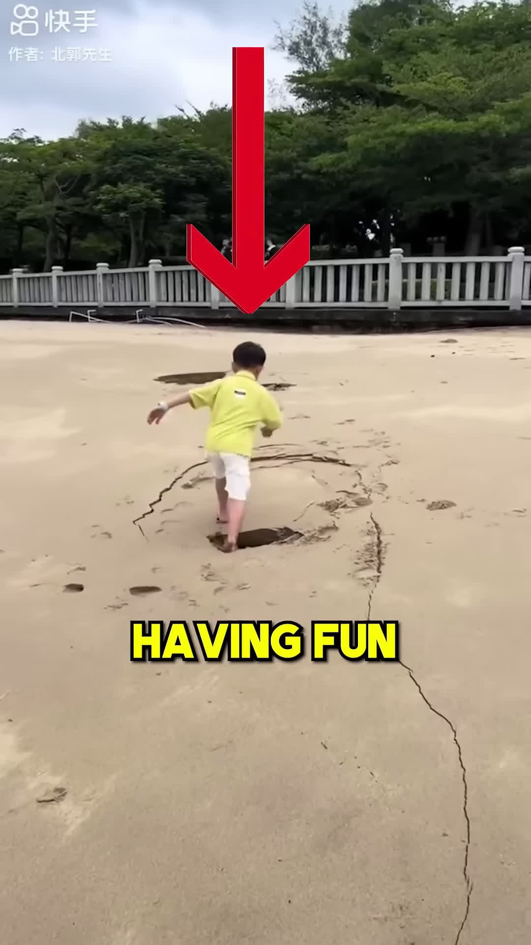 cover for The Surprise Hole