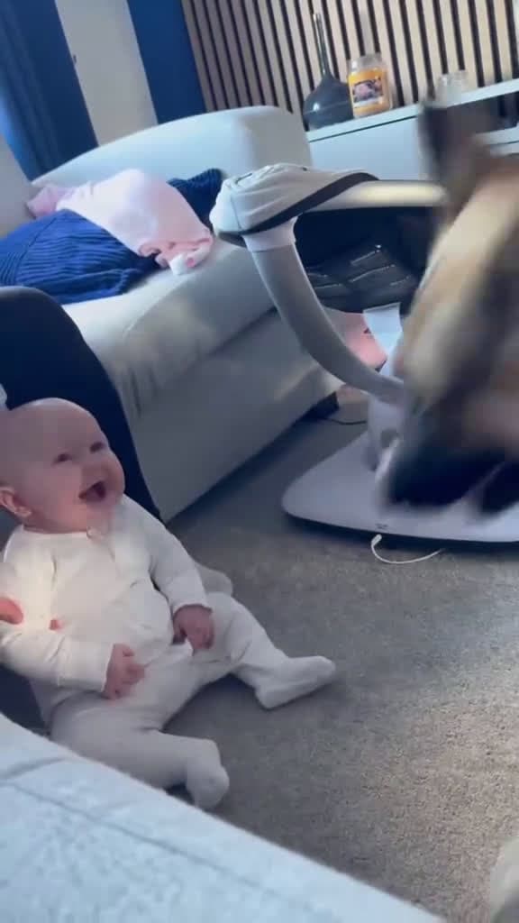 cover for The dog came running and the baby laughed happy happybirthday Love baby cute dog 86670 #nicevideo