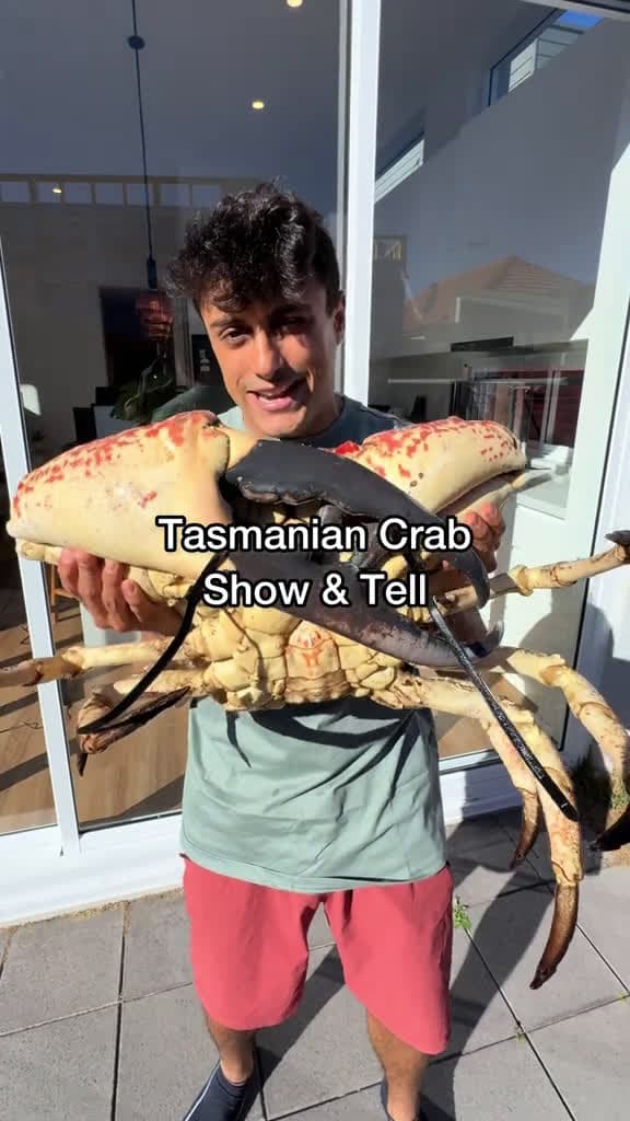 cover for Favorite Crustacean #crab #seafood #seafoodlover #showandtell 
