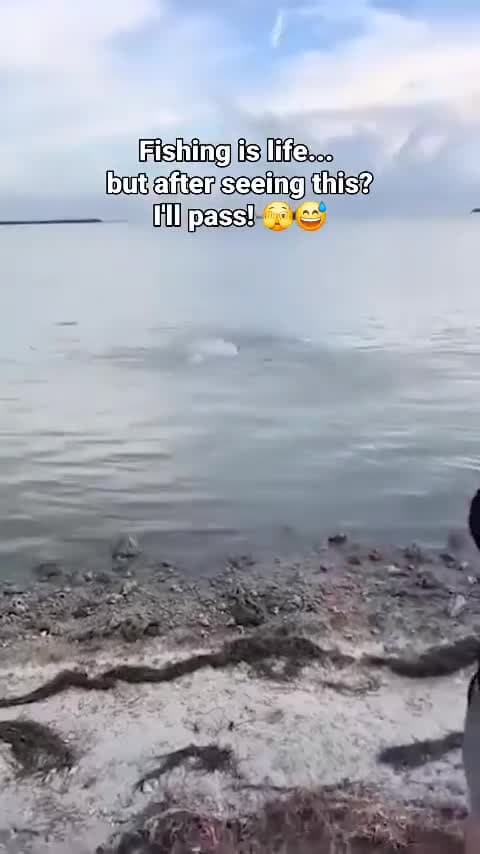cover for That's a hell of a fish.You catch him?He come out of the water starts chasing you!