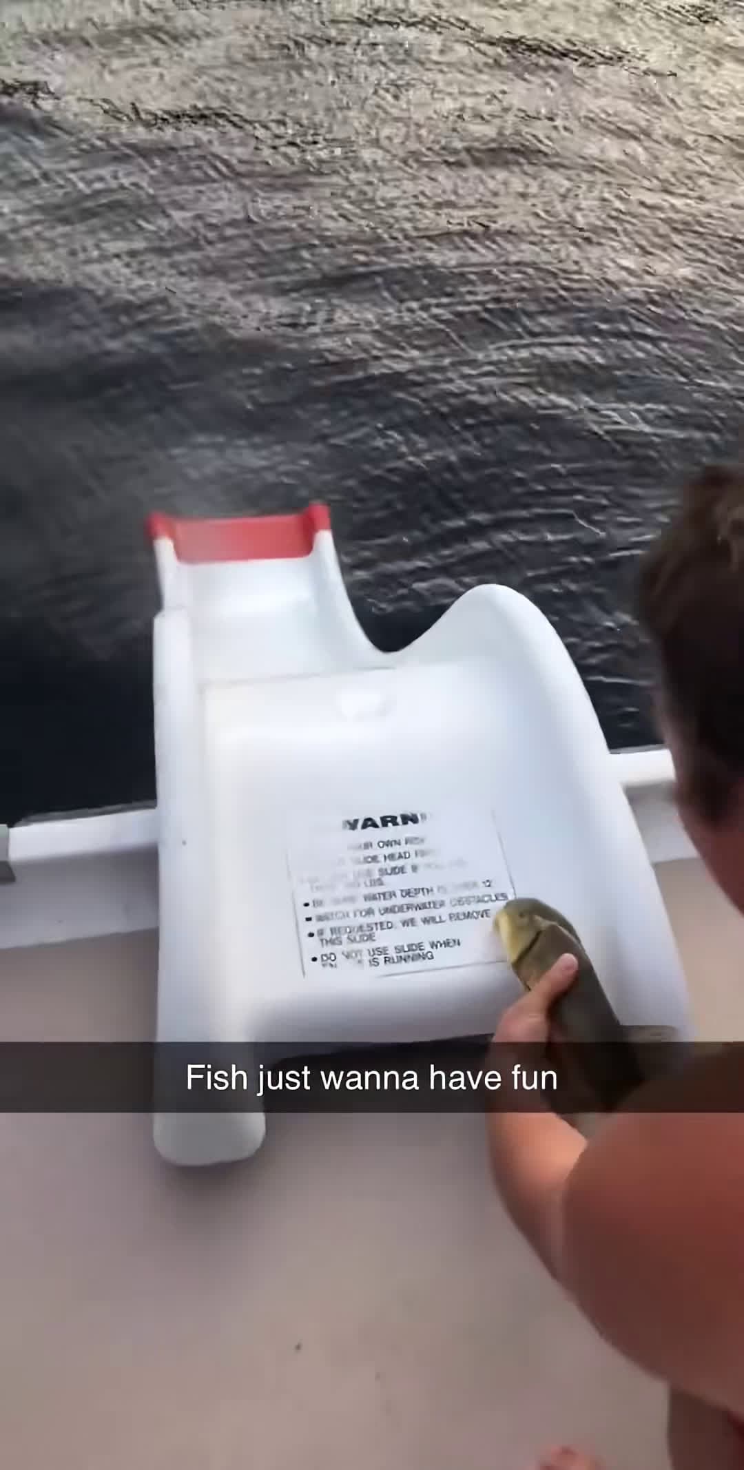 cover for NEED fishing fishtok fishingtiktoks fishingmemes baitcaster fisherman fishermen bassfishing largemouthbass smallmouthbass guns fishingfail fishingfails flyfishing fish ocean saltwaterfishing