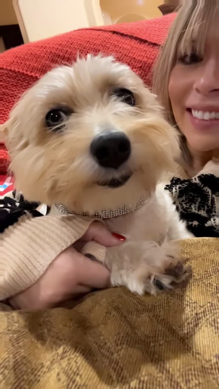 cover for Me + Ginger = pure Serotonin! The cuddliest lil lovebug ever 🥹#dog #puppy #cuddlydog #cutedog #dogmom #doglife #ginger #sweetdog #dogsnuggles #puppylove #doglover #furbaby #dogsarethebest #cutenessoverload #dogcuddles #doggo #fluffylove #puppysnuggles #dogbestfriend #puppyeyes #dogvibes #dogaesthetic #dogdaily