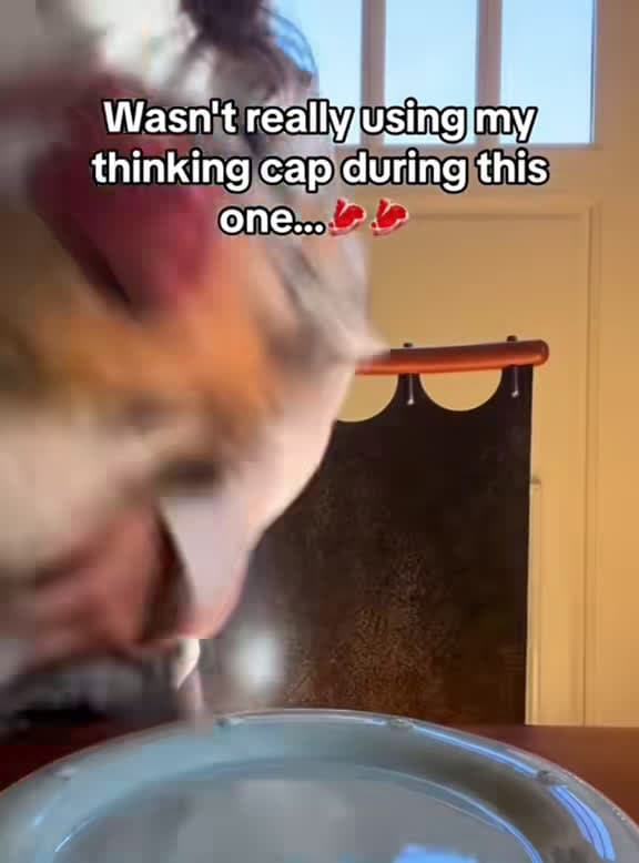 cover for These greedy pups can’t resist their owner’s food! 🐶😂 #dog #funnydog #foryou