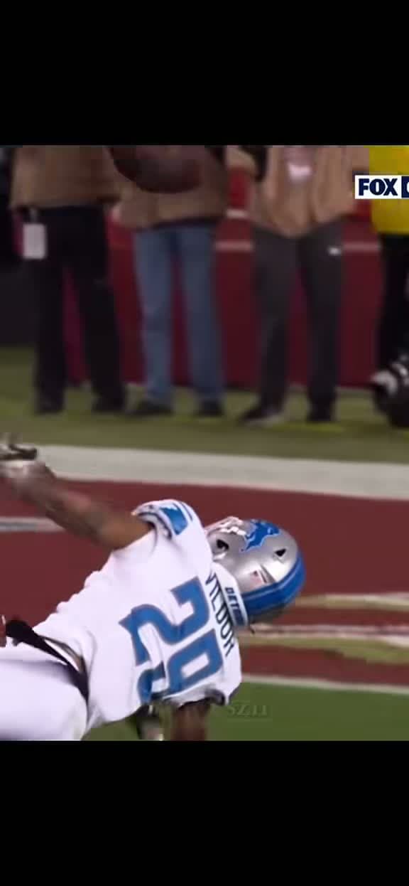 cover for Thought this was our year... but the playoffs said otherwise. #Lions #NFC #Playoffs 😞