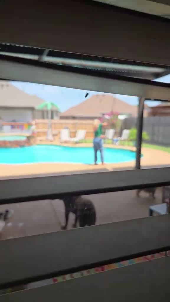 cover for Love dadsoftiktok follow wife pool Summer Lesli Davis-Price 69118 #america