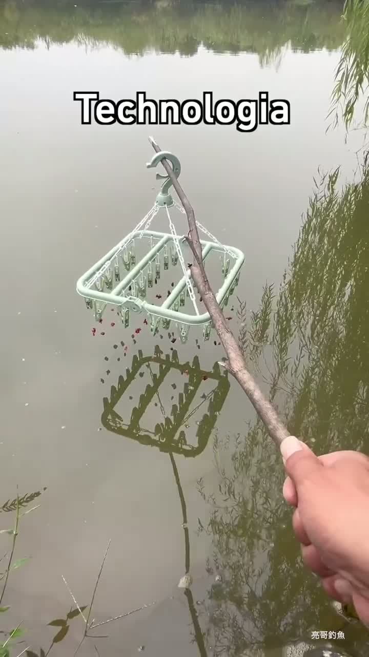 cover for Catching fish 🎣