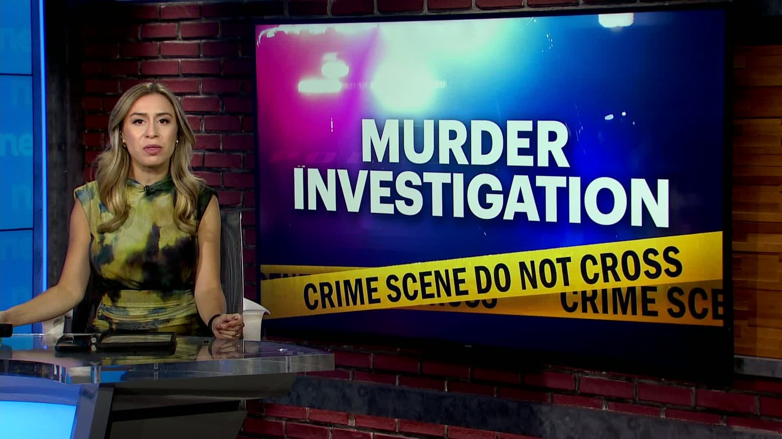cover for Boyfriend charged in fatal stabbing of woman in Pelham Bay Park