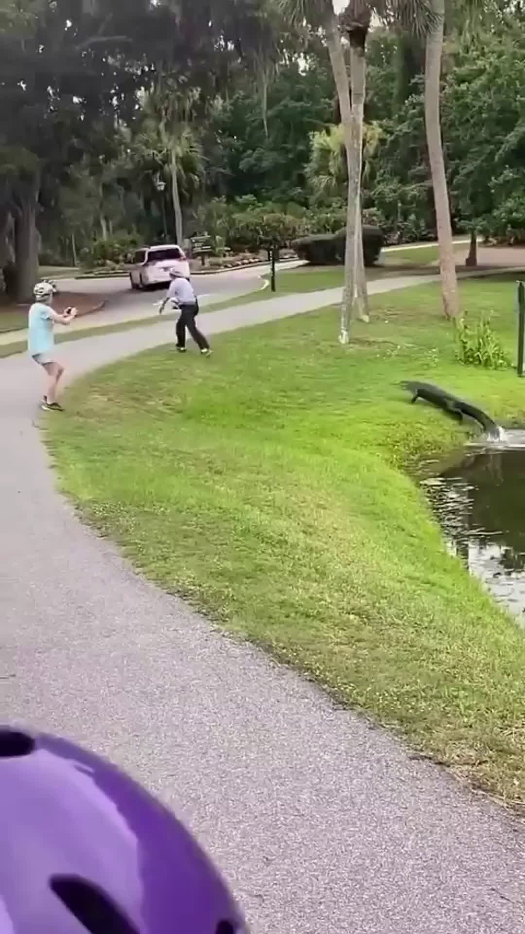 cover for Man Is Approached By A Crocodile While Fishing In A Small Body Of Water And Chased Off WWYD? 🐊