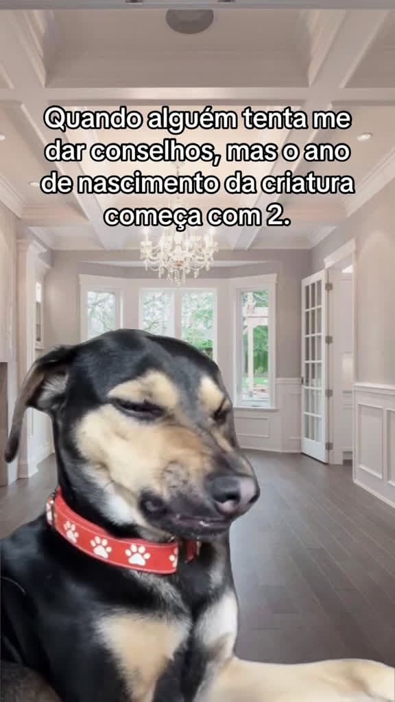 cover for #CapCut  created by tababadeira with tababadeira’s original sound