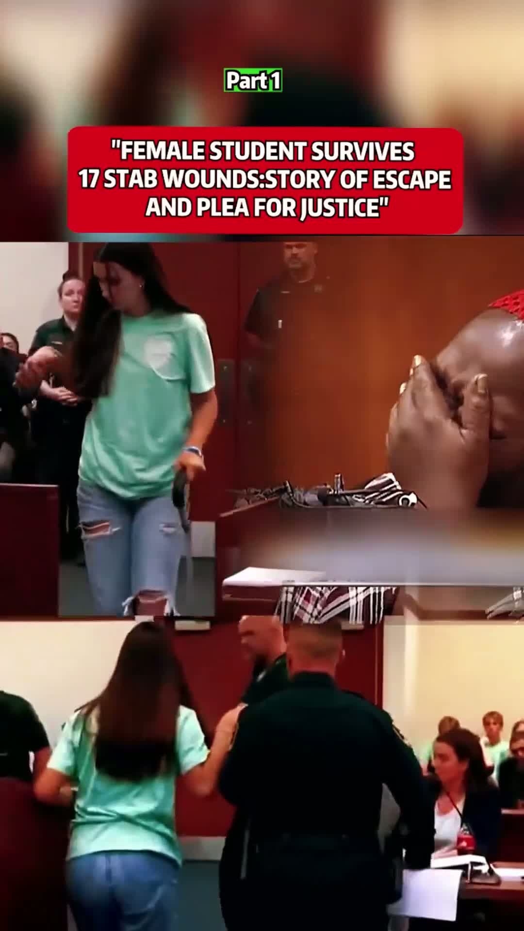 cover for "FEMALE STUDENT SURVIVES17 STAB WOUNDS:STORY OF ESCAPE AND PLEA FOR JUSTICE"