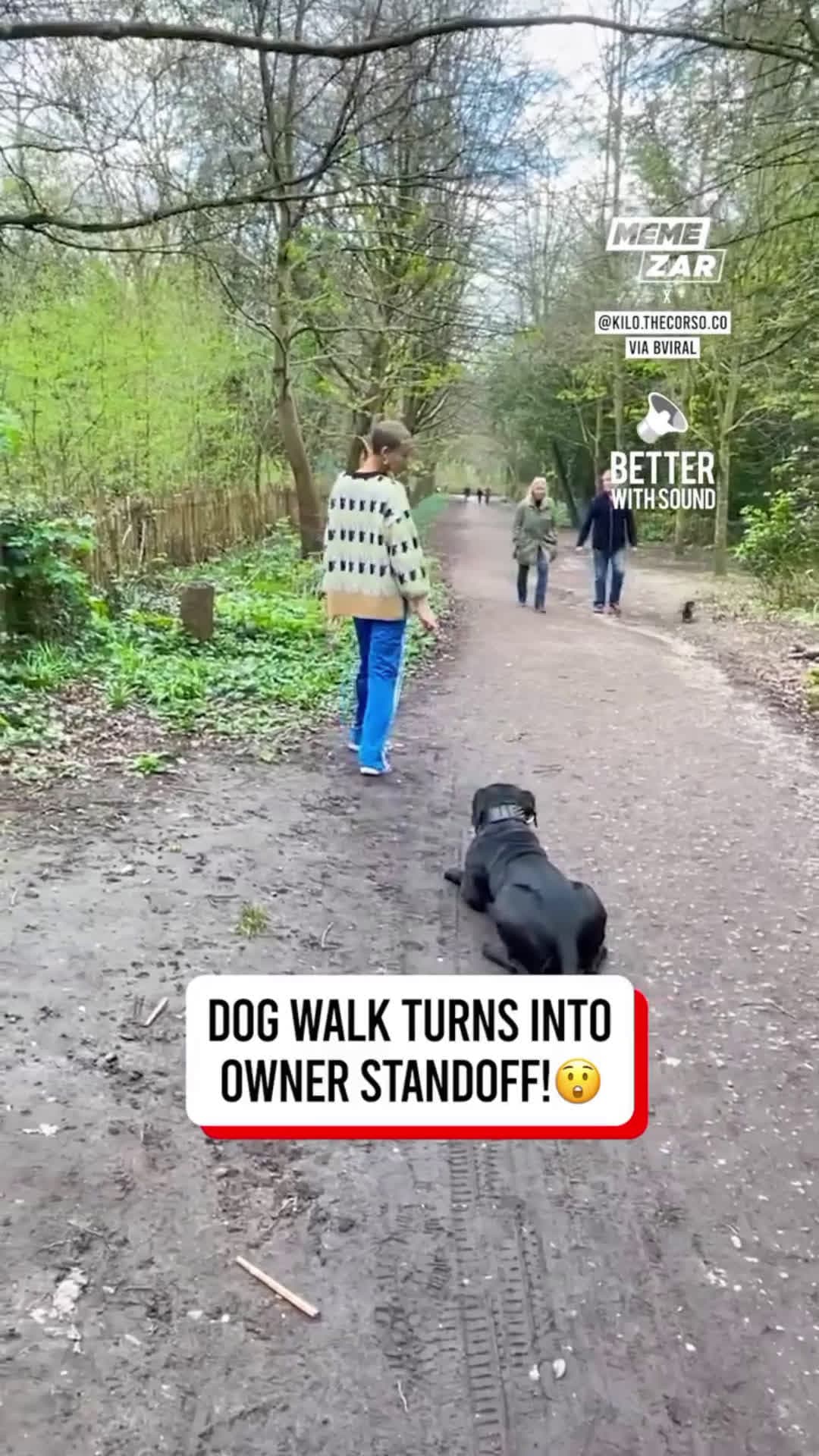 cover for Who's in the right here? 🐕🚶‍♂