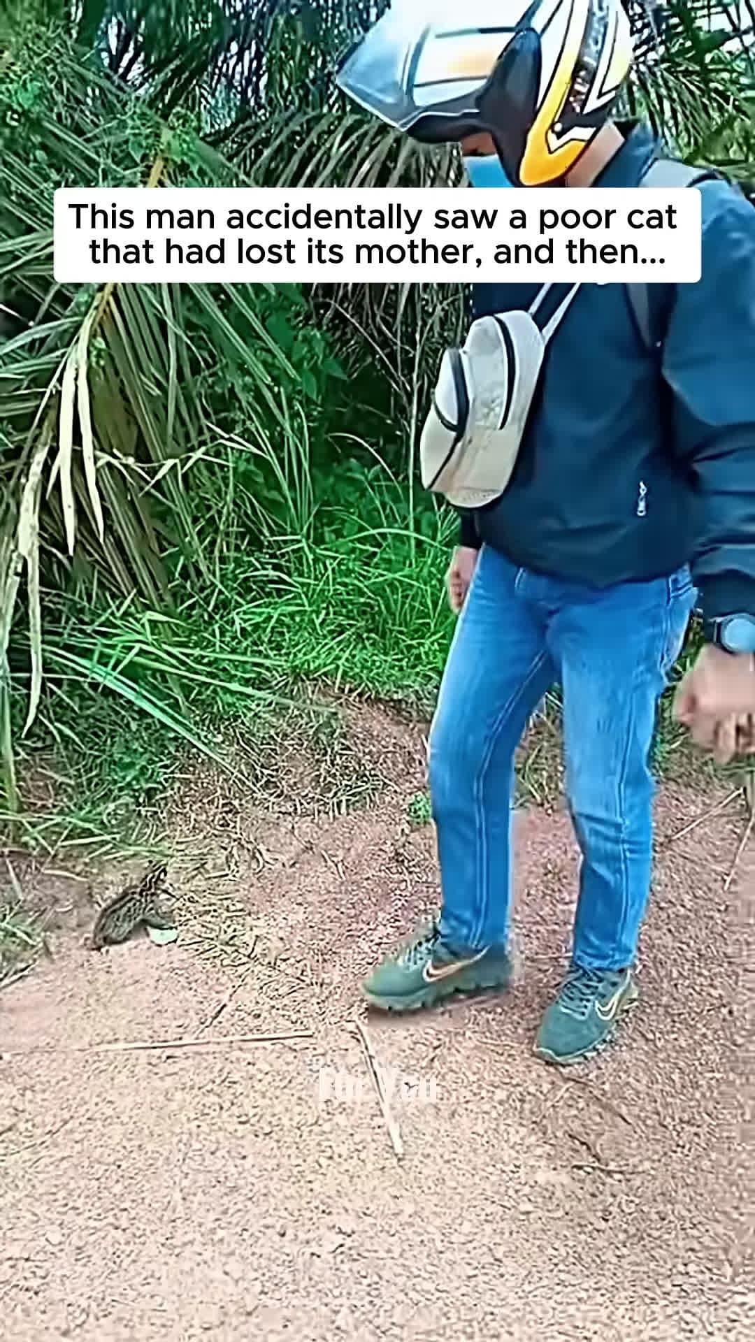 cover for This man rescued a poor serval cat and then serval cat short