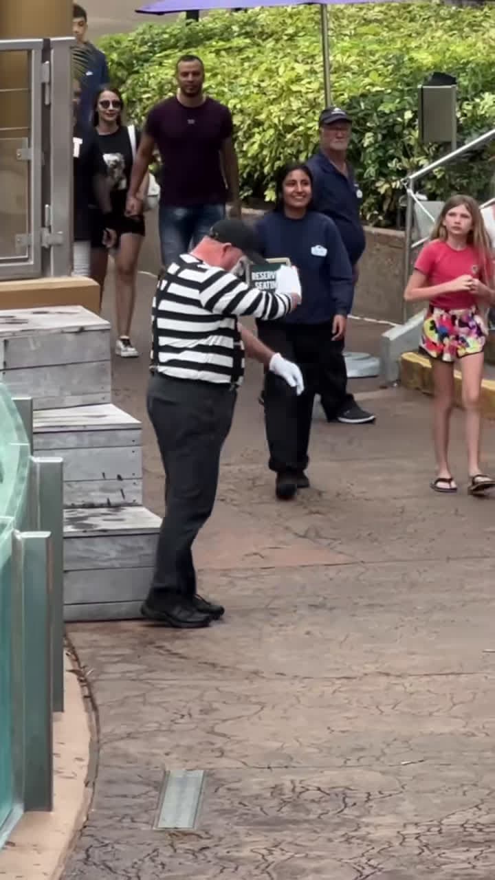 cover for #FirstVideoChallenge Your seats are reserved #funny #seaworldmime #funny #tomthemime #viral #funnyvideos #fyp 