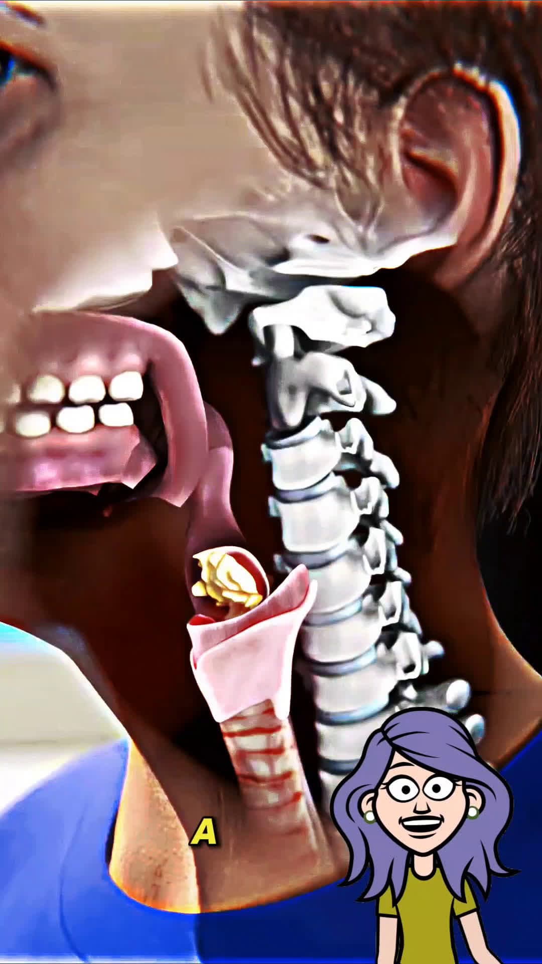 cover for #animation  #facts 