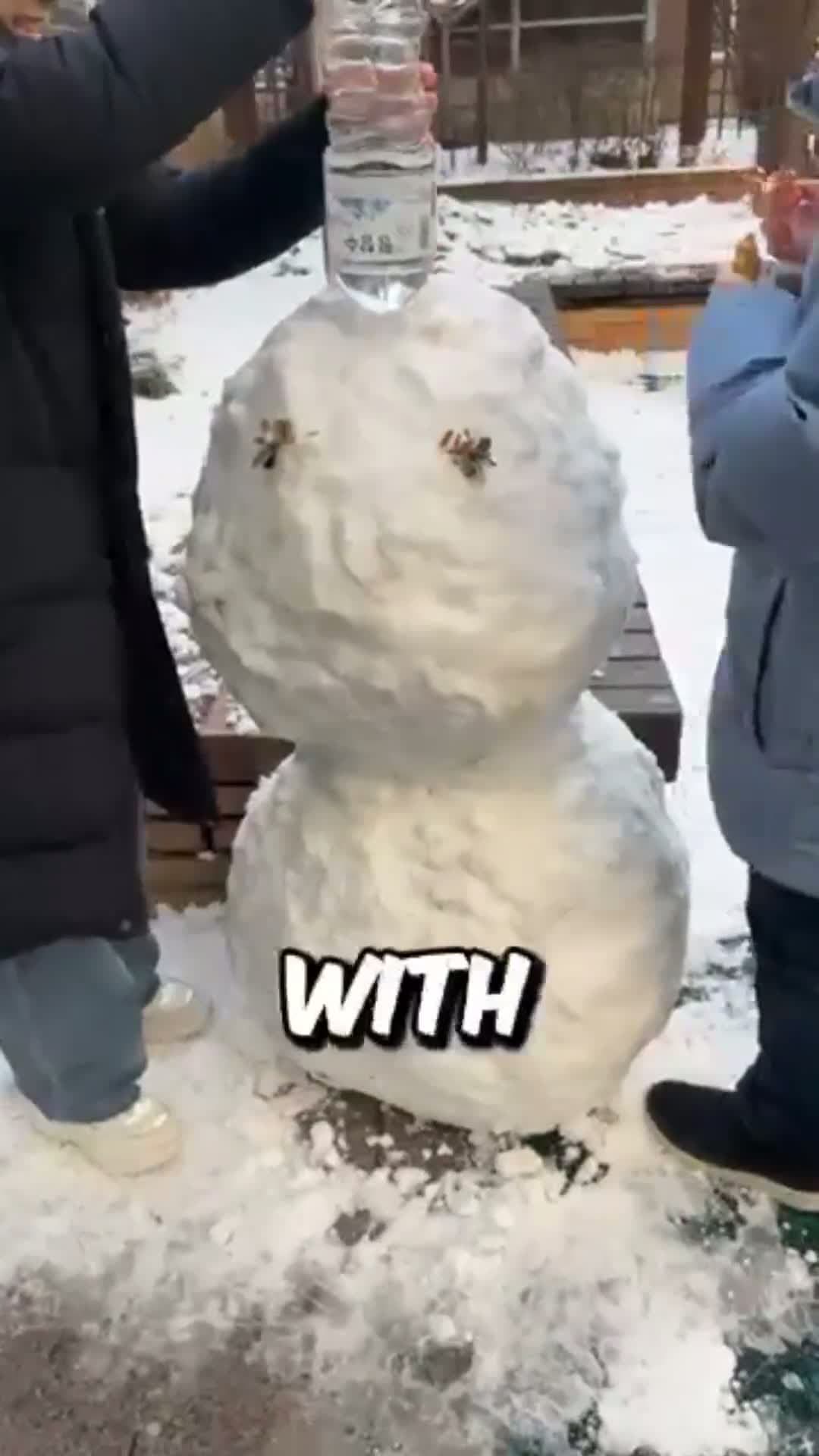 cover for This Guys Did This to a Snowman!⛄🥶