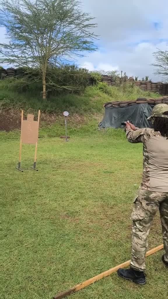 cover for Learning to shoot a gun