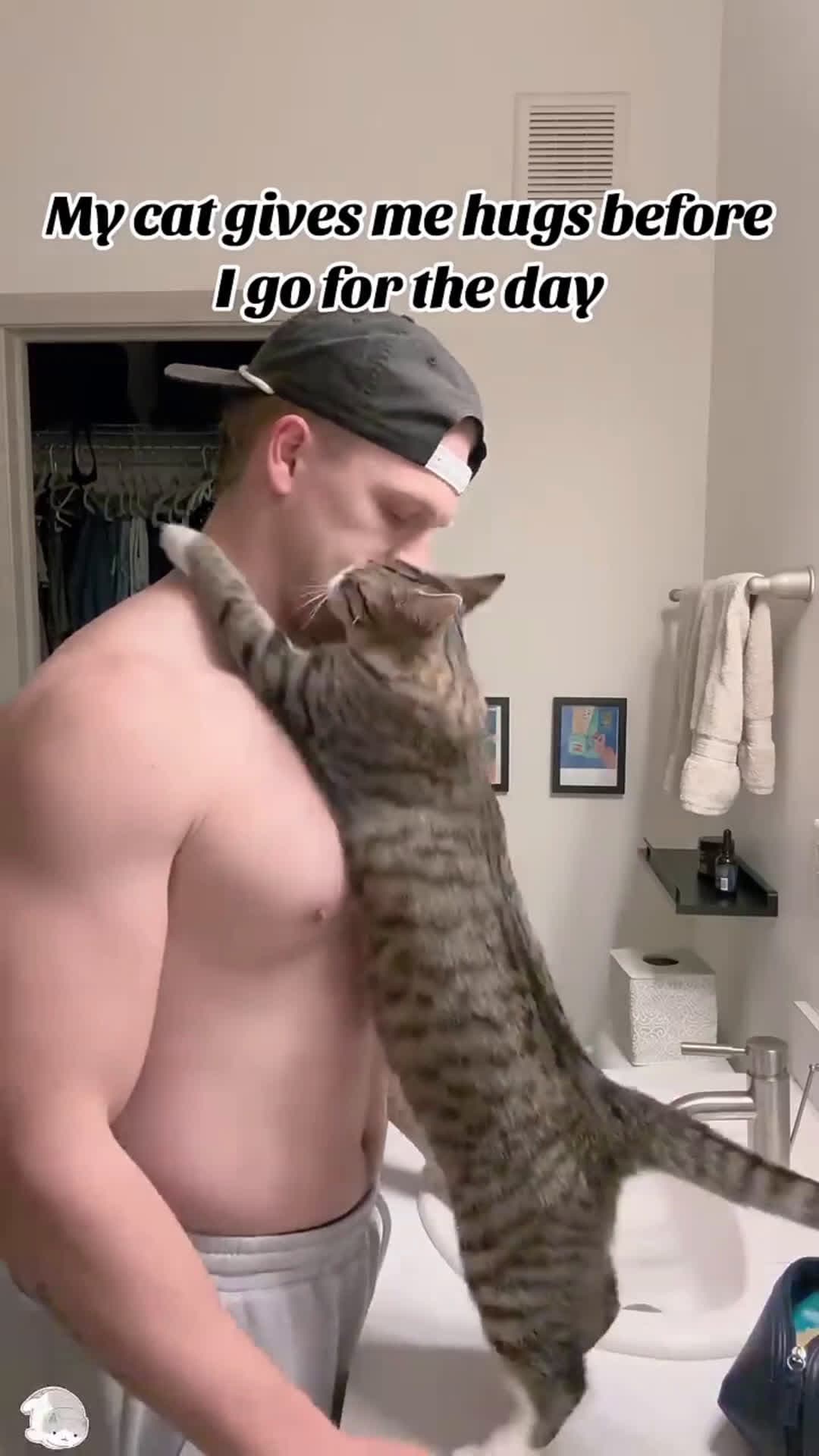 cover for Meet this gentle little kitty😻#cat #pets #funny