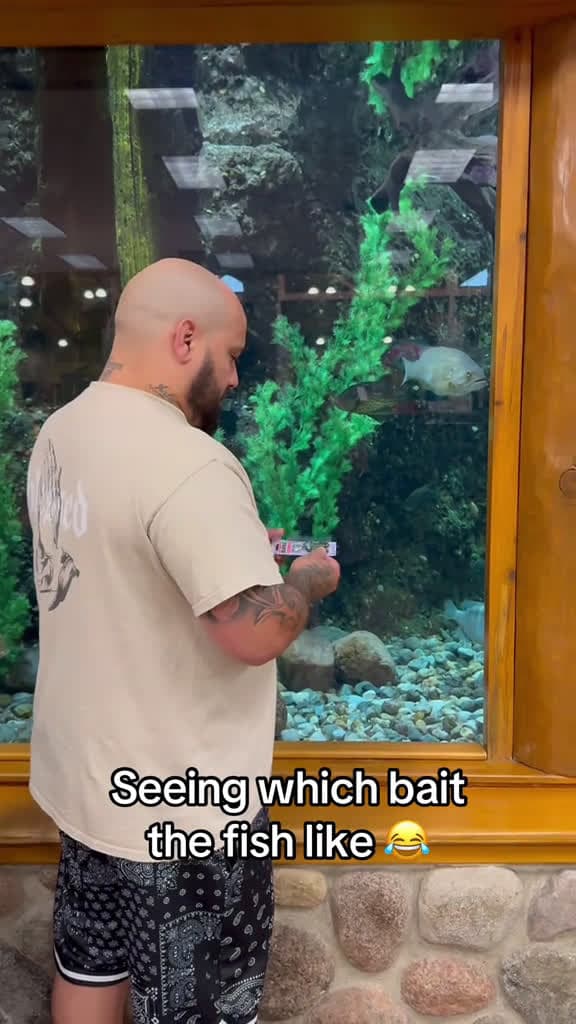 cover for 140 IQ FISH PLAY 😂 @Barstool Outdoors (via:@Fishingtoledo)  created by Barstool Sports with Barstool Sports’s original sound