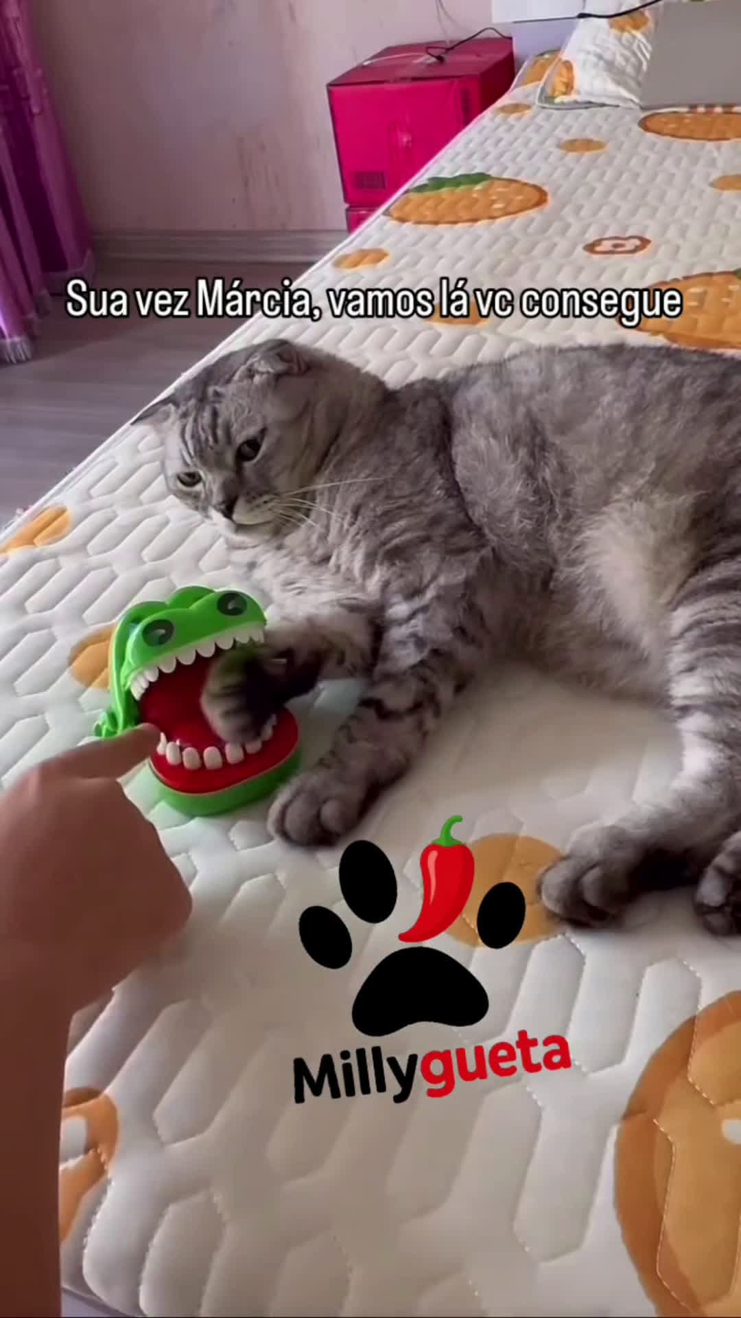 cover for 😎😂🐈💪