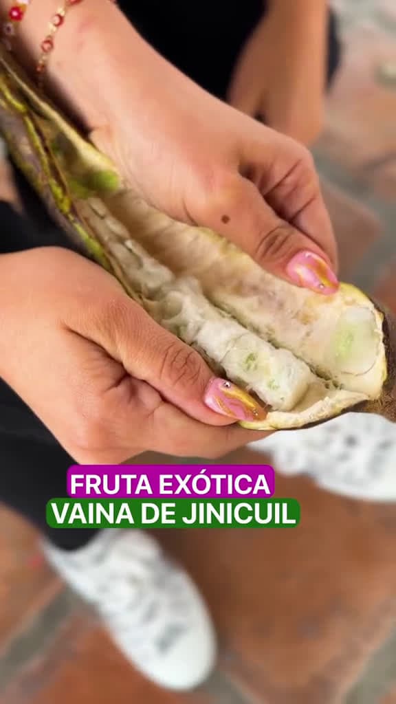 cover for Fruta extica  Vaina de Jinicuil  frutaexotica fruta exoticfruit frutas extrao com 82917 #american
