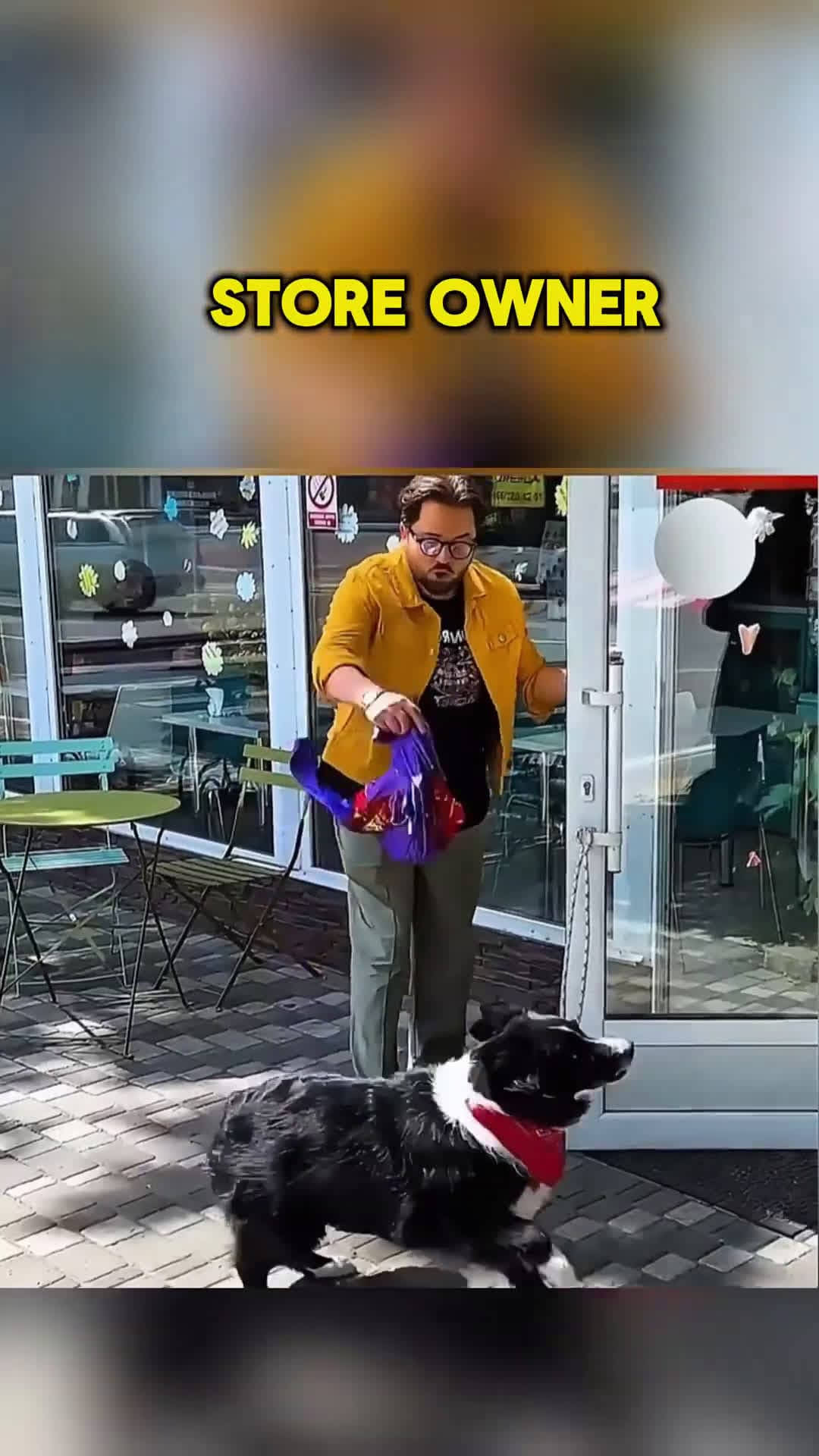cover for Everyone Ignored the Dog Until He Did This shorts kindness helpneedy shortsviral