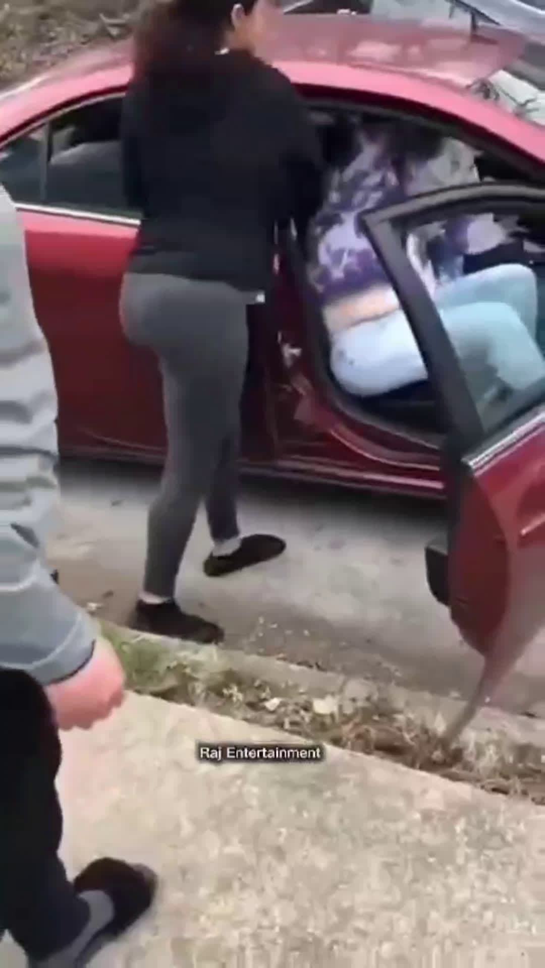cover for #fight#trash#women#car 