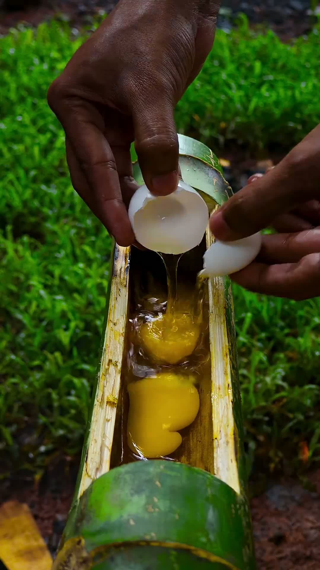 cover for Omelette inside bamboo 