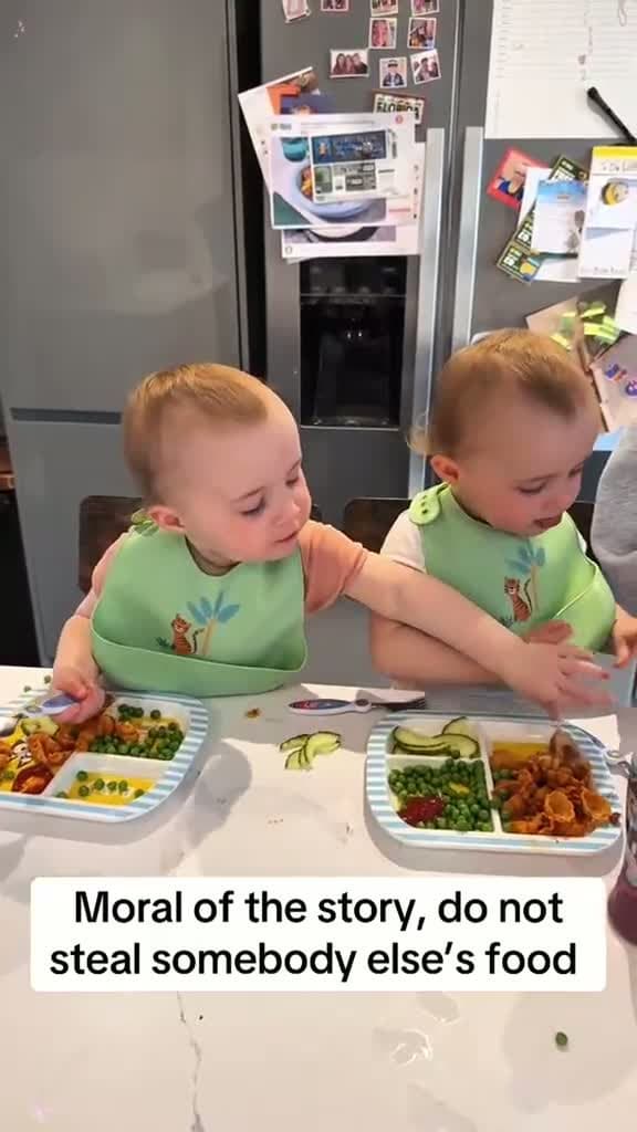 cover for Just babies#fyp#funny#babies#FirstVideoChallenge