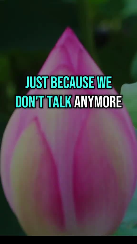cover for Just Because We Don t Talk Anymore Doesn t Mean I Forgotten You. Relationships LoveQuote C 16638 #trending