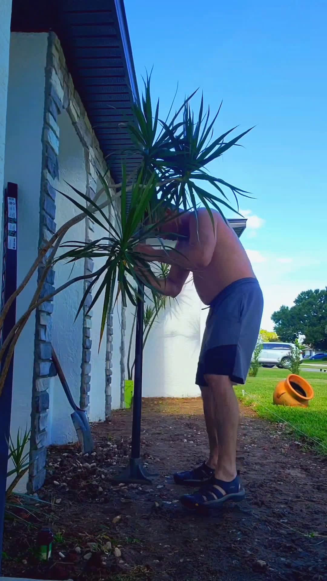 cover for Mission Accomplished  #landscape  #paisajismo  #marioydally  #jardineria 