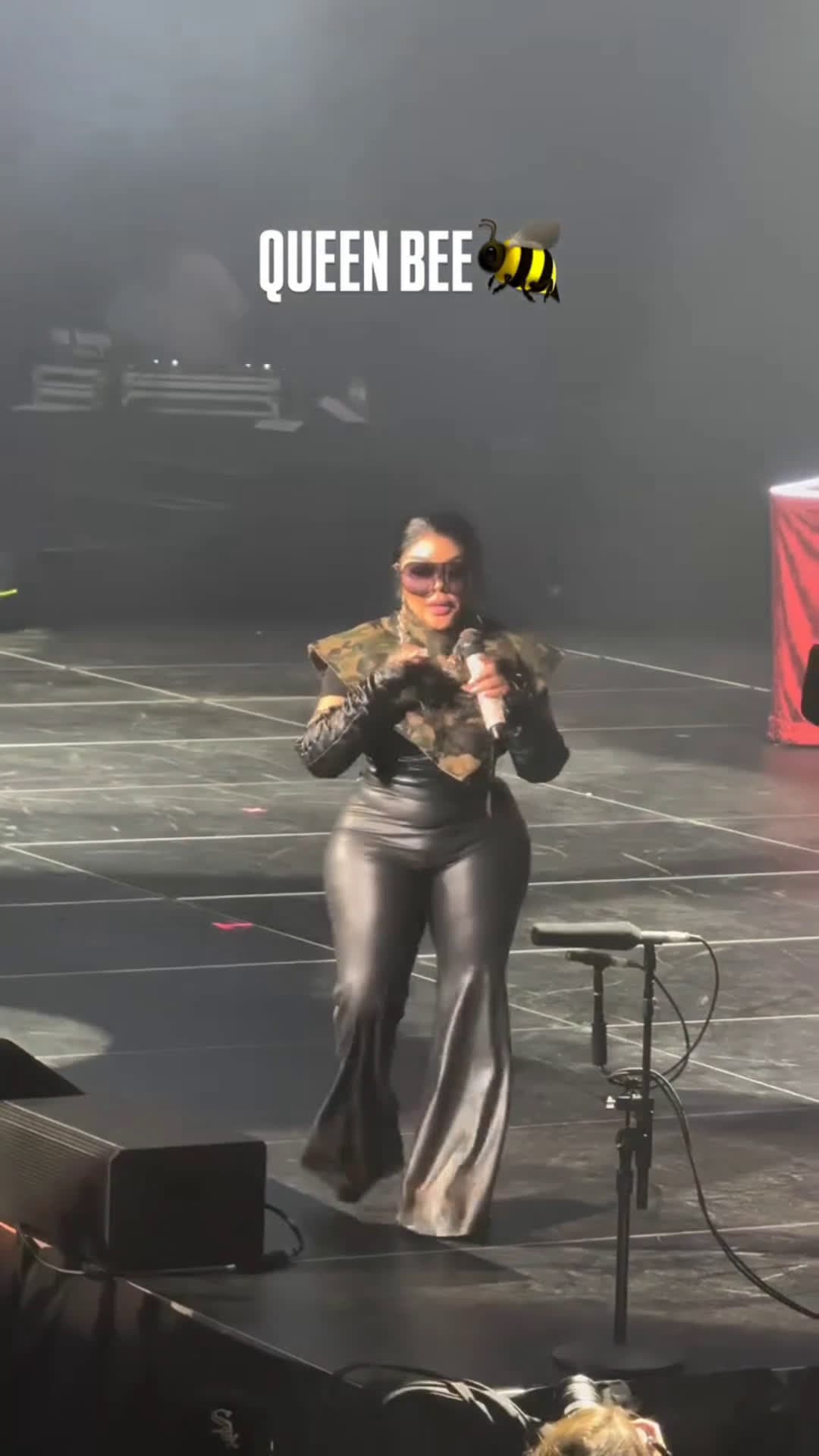 cover for Lil Kim really looking like a Bee with that botched BBL 🐝😂 #fyp #ko #foryoupage #crazy #funny #world #hood #fight #foryourpage #explorepage #viral #share
