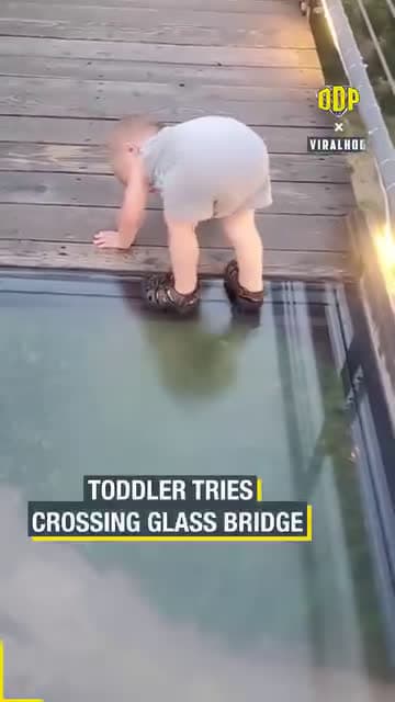 cover for Toddler Tries Crossing Glass Bridge
