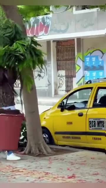 cover for The funny tree #funnyvideos #funnymoments #prankvideos #funnyvideo #funny #prank #funnyprankvideos #prankvideo #funnypranks #funnyprank 1