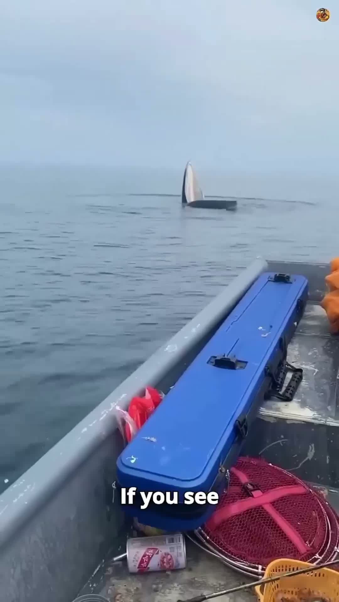 cover for Don't Mistake This for a Boat! 😳
