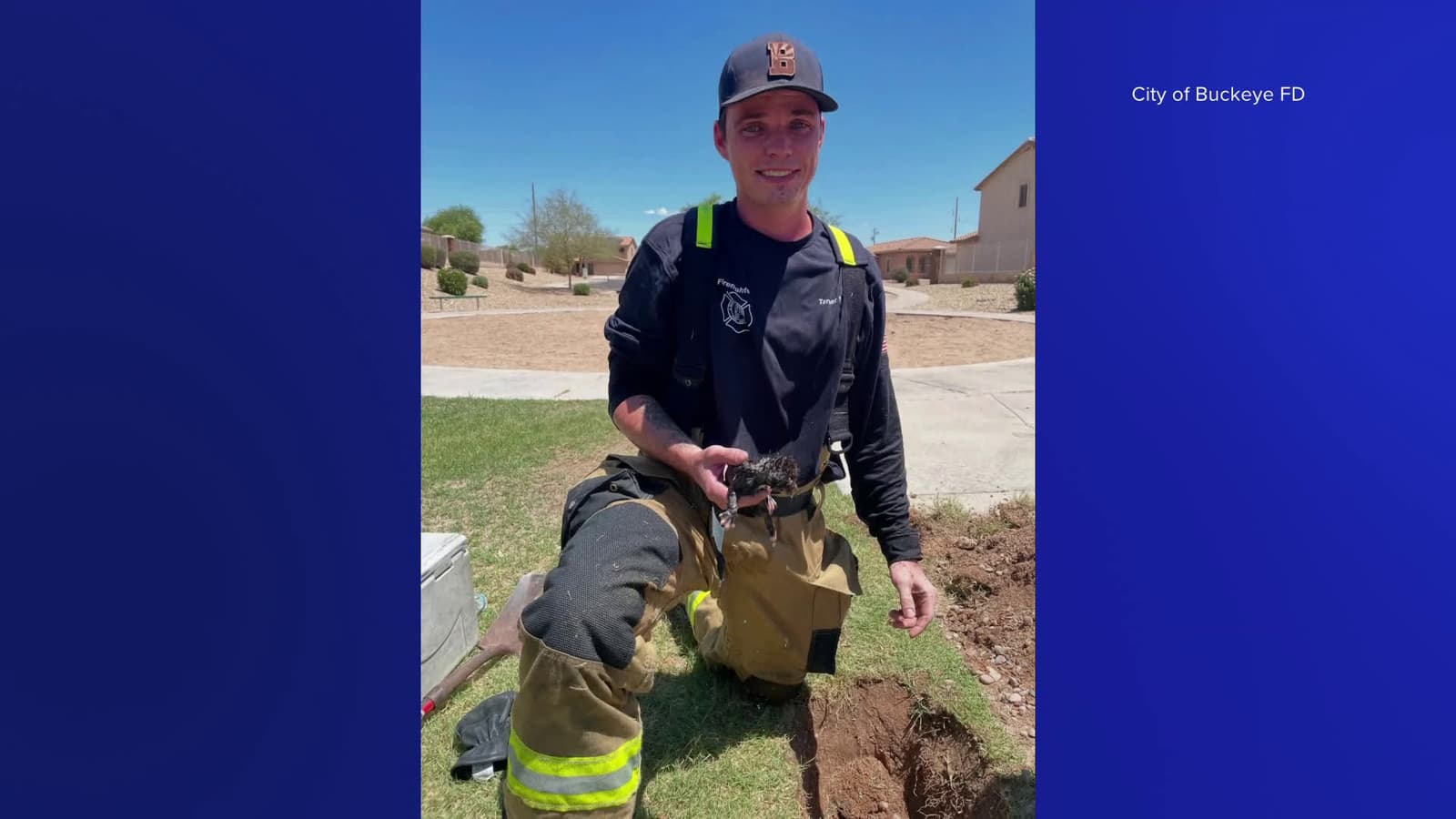 cover for Kittens rescued from pipe in Buckeye