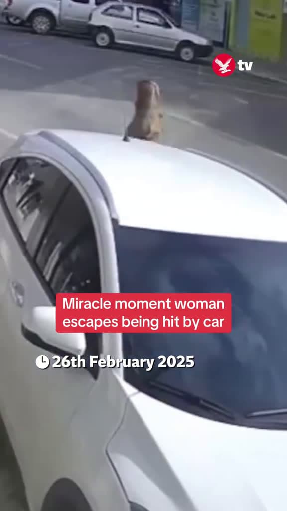 cover for A woman in Brazil miraculously walked away unharmed after being narrowly missed by a pickup truck that crashed into a parked vehicle on February 22. The incident took place in Braço do Norte, Santa Catarina, as the woman was wa...