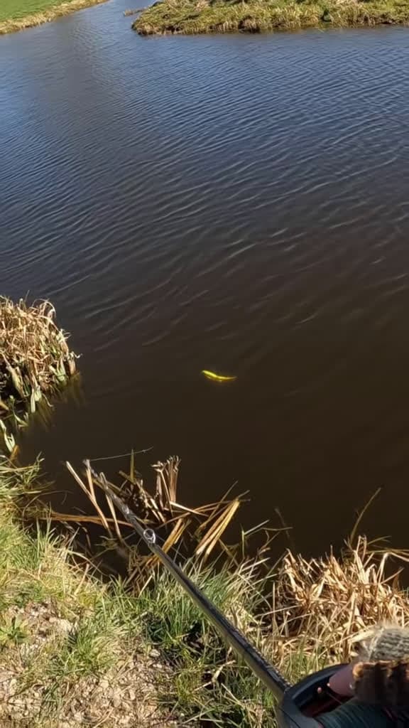 cover for Insane pike strike right at my feet! 🎣🫠 #PikeFishing #CatchAndRelease #FishingLife