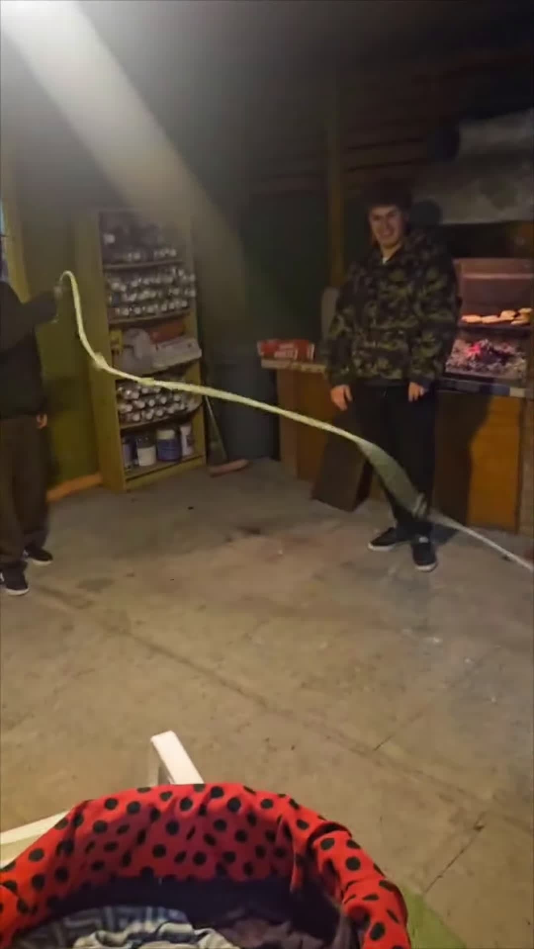 cover for #OddlySatisfying Dog Spins Rope Playfully as Youngman Skips It.