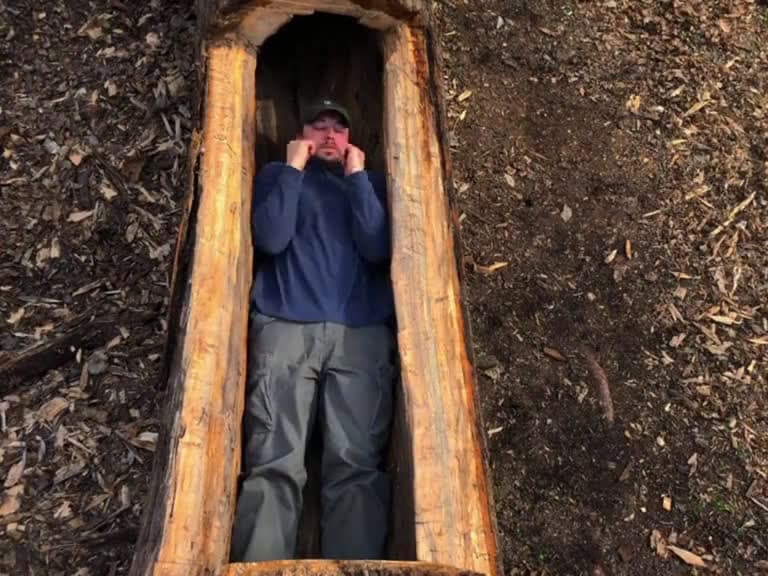 cover for Camping alone for the night in a tree hole. wildbuilding 92718 #followMe