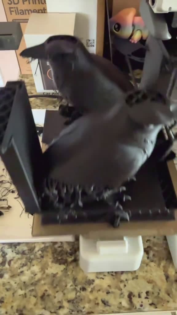 cover for When your 3D printer has other ideas... 🖨️😩 #3dprinting #printerfail #makerspace
