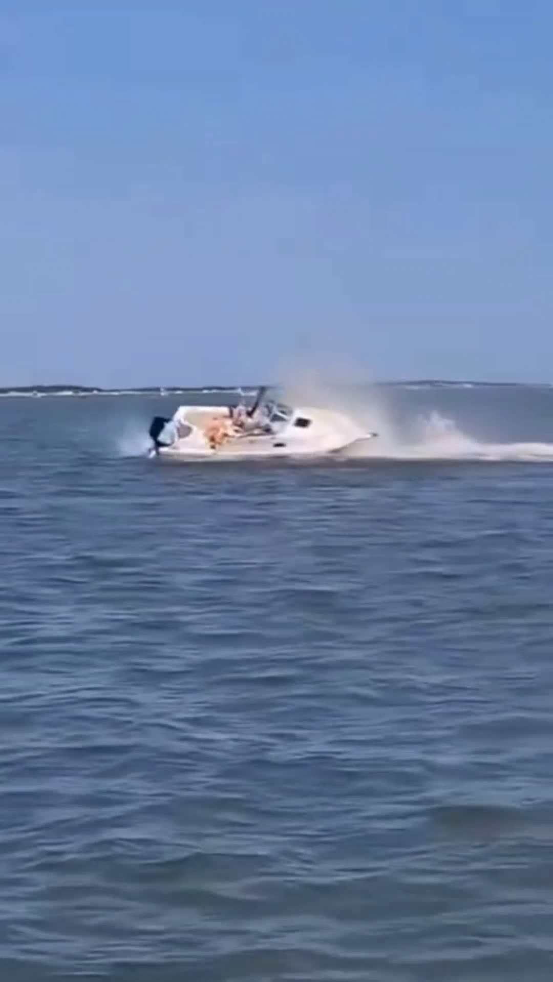 cover for SHOCK VIDEO: Whale dead & passenger thrown overboard after boat incident in Barnegat Bay, New Jersey