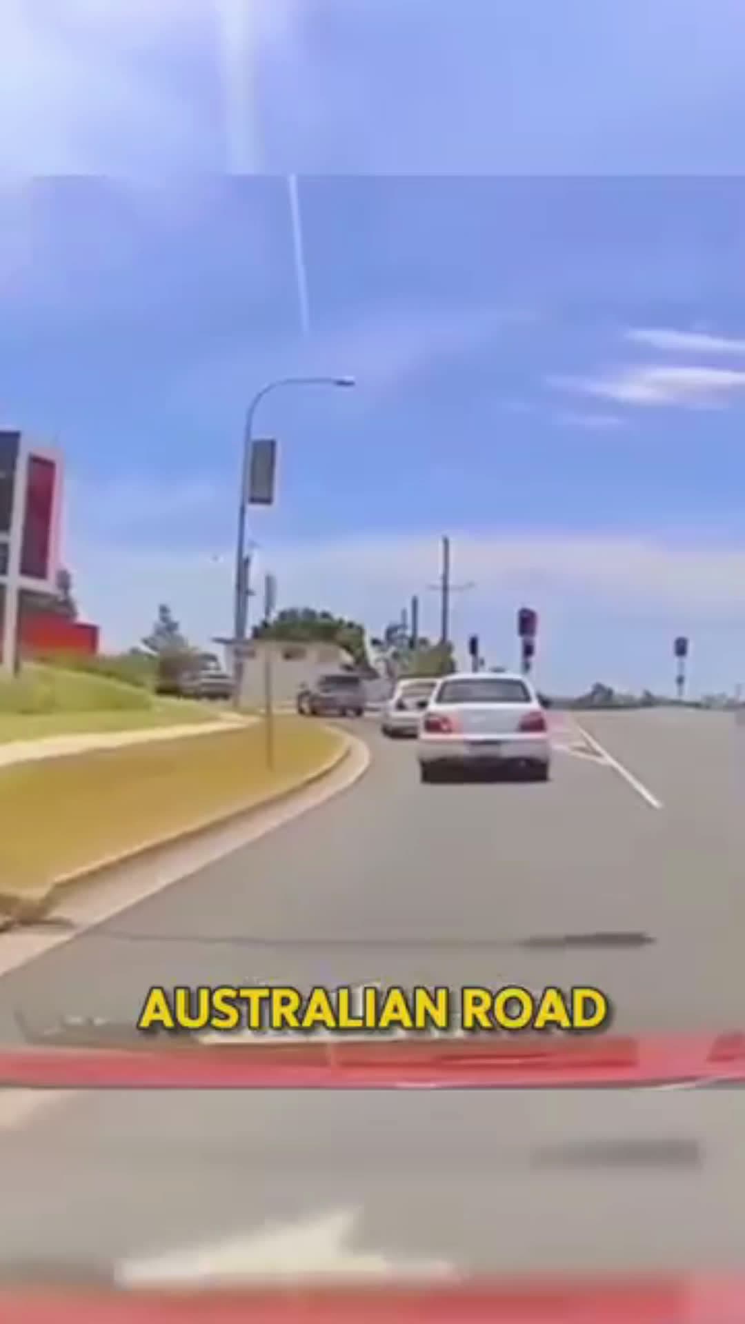 cover for Driver Got Out of His Car to Do This