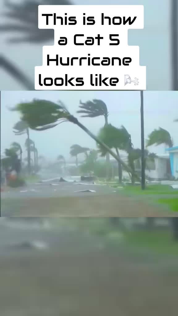 cover for Trees crash down during a hurricane — on-camera footage you can't miss 🌪️ #Hurricane #StormSafety #EpicFootage