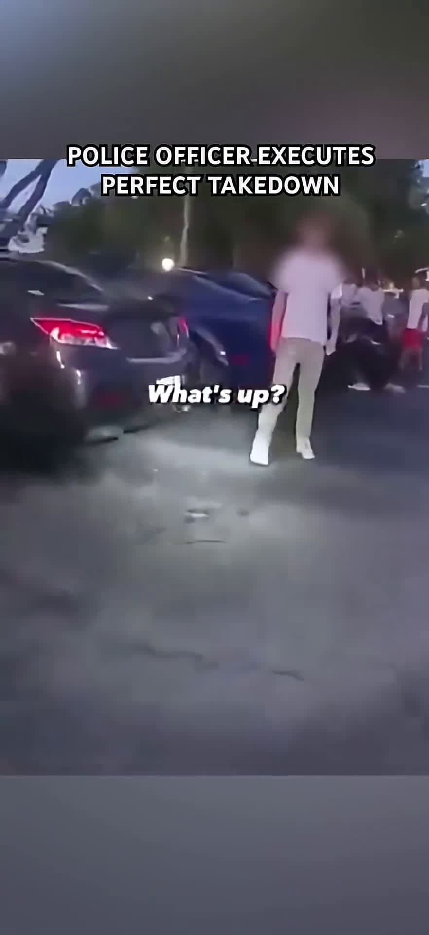 cover for Police Officer Executes Perfect Takedown