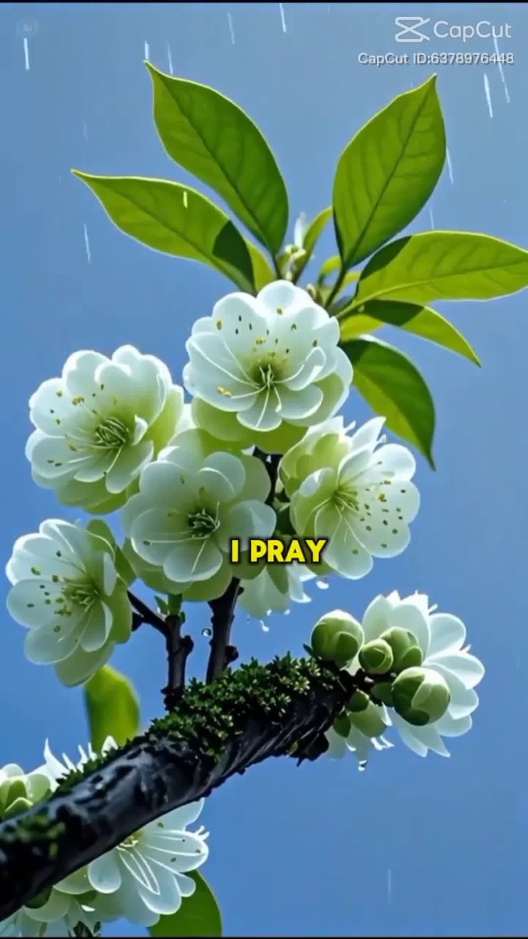 cover for #Christianity#let pray together