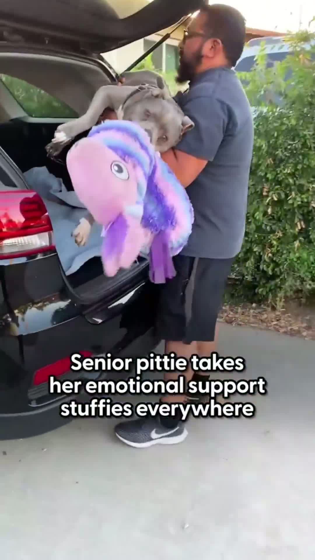 cover for They’re like security blankets to her  💗 Yazmin told us how she lets Luna do whatever she wants with her stuffies because they make her happy, and about @Looney and Snow’s adorable relationship!