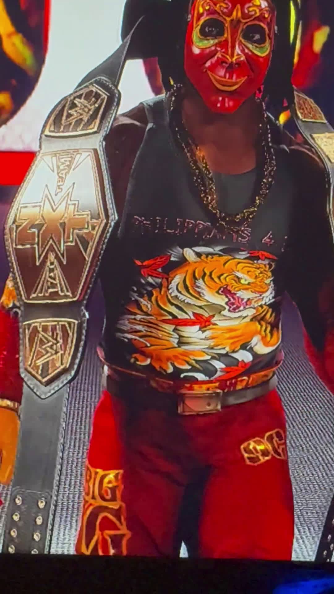 cover for Wwe2k24