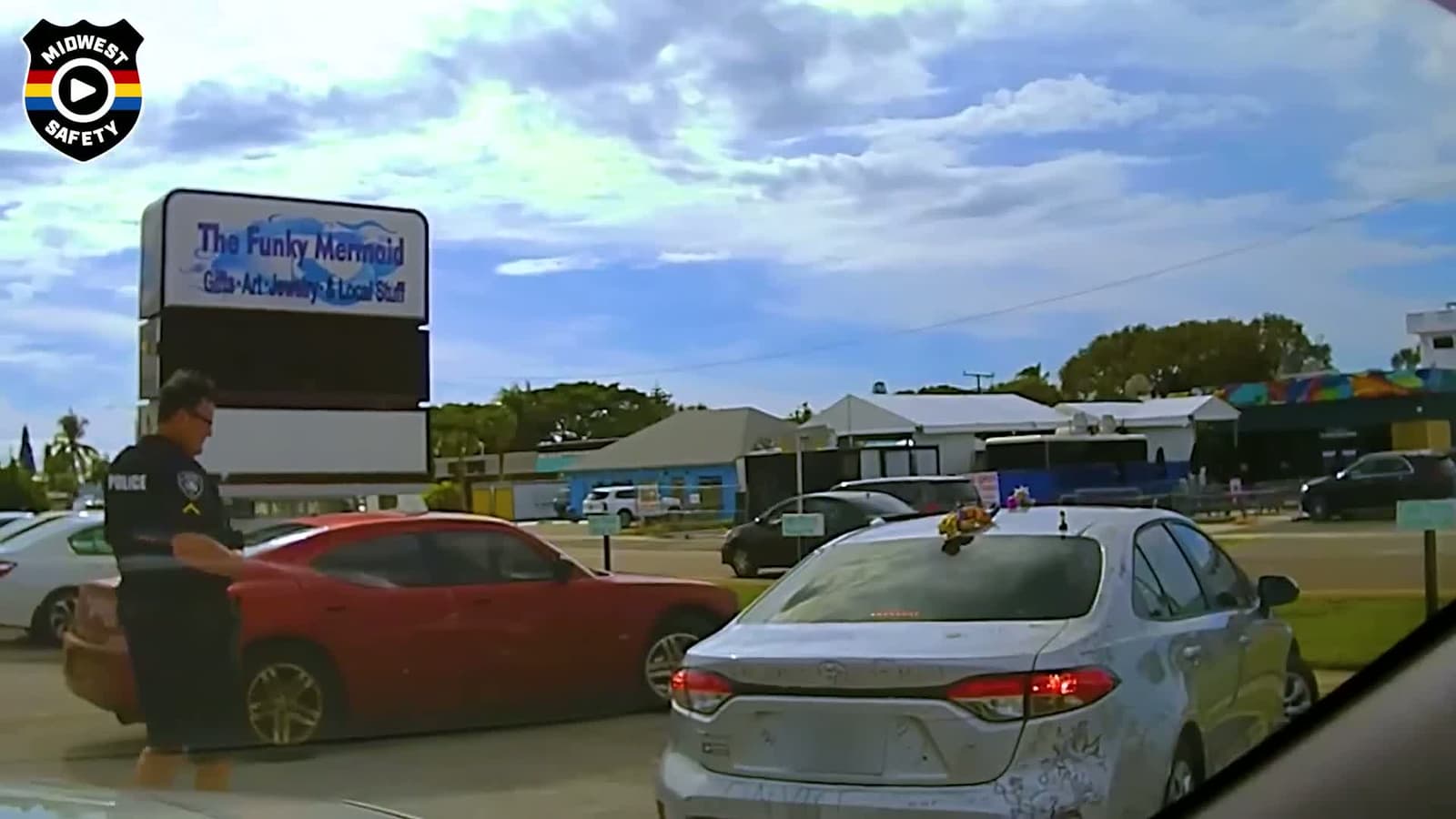 cover for Simple Traffic Stop Turns into Sudden Disaster - 001#caughtoncamera #firstpaycheckmemory #toofunnytoscroll #oddlysatisfying #favmovieclip