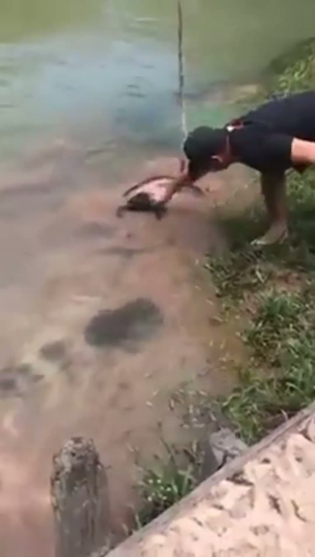 cover for rescue mission ............ success.....