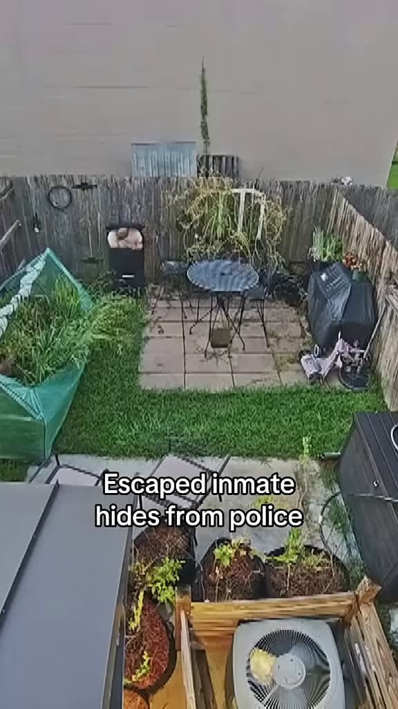 cover for Inmate on the run caught hiding from police in Louisiana! Watch the full clip 🎥 #CaughtOnCamera #Louisiana #PoliceChase